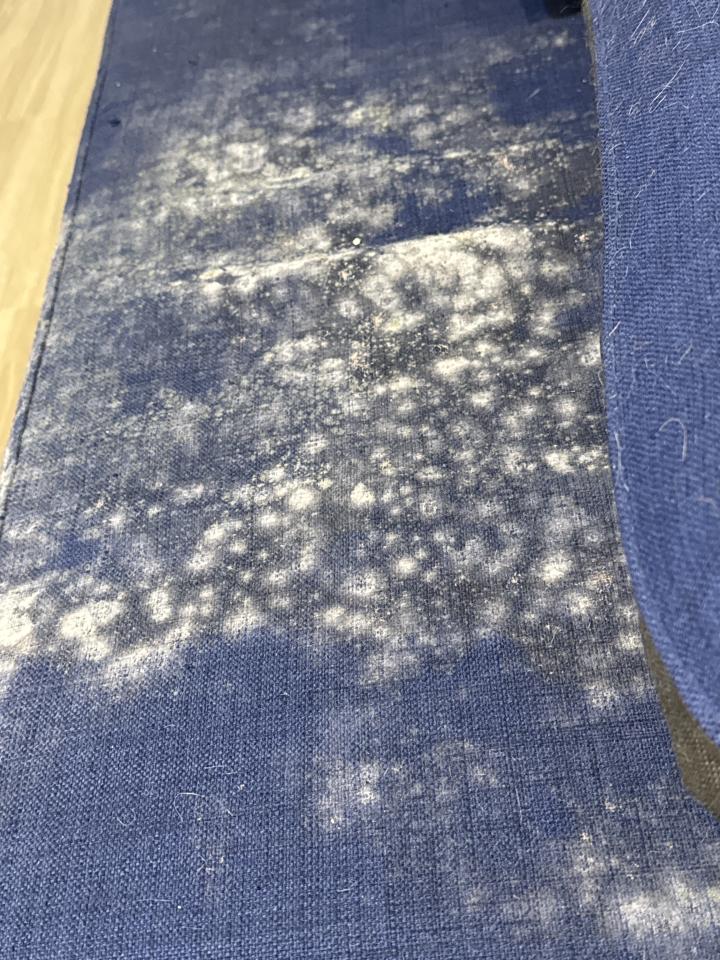 除霉案件圖片