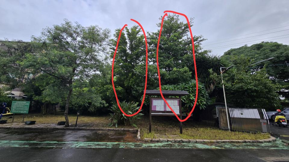 園藝維護案件圖片 園藝維護案件圖片