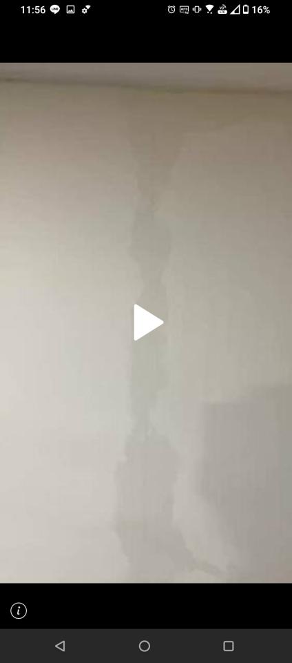抓漏案件圖片