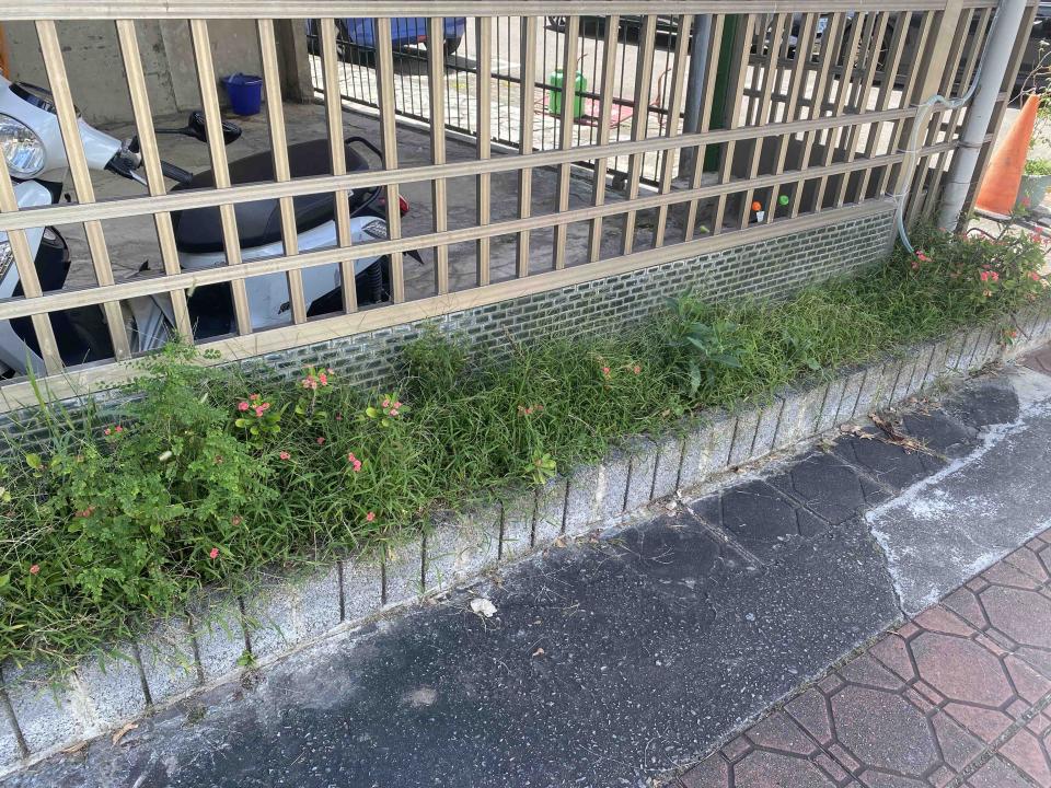 園藝維護案件圖片 園藝維護案件圖片