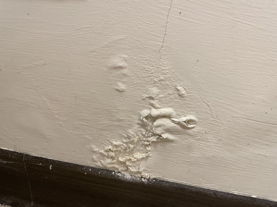 油漆工程案件圖片