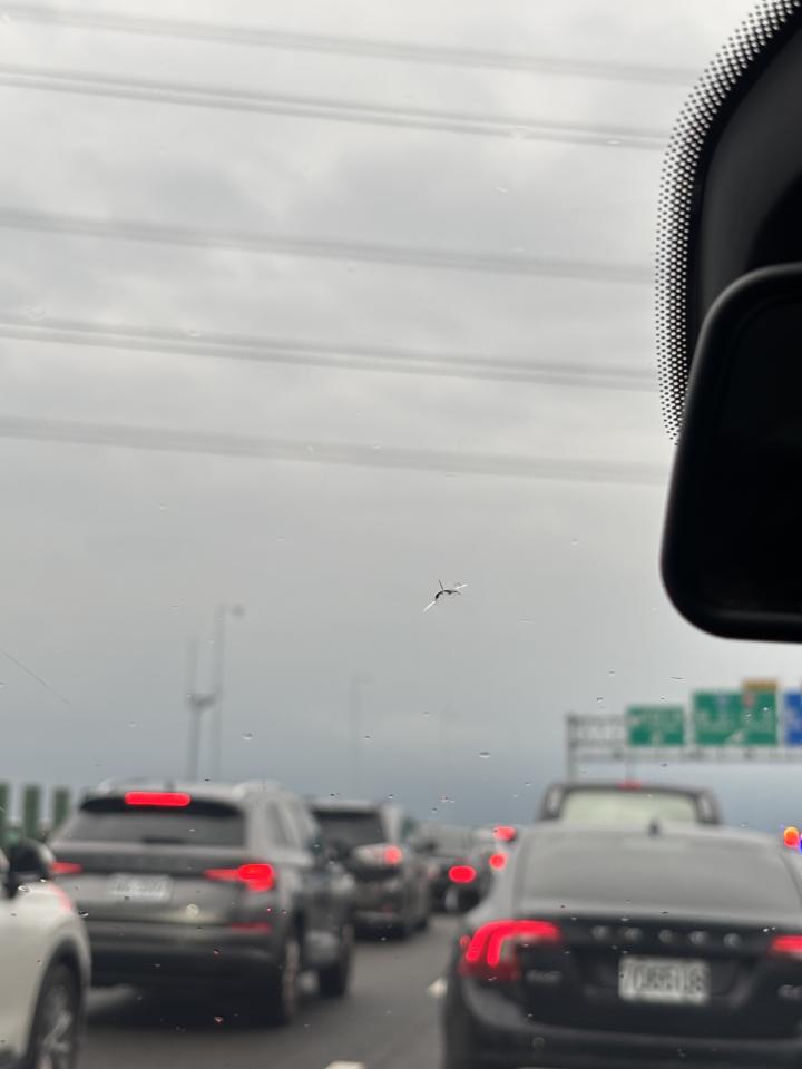 汽車玻璃修補案件圖片