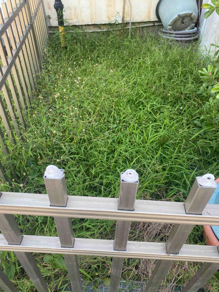 園藝維護案件圖片 園藝維護案件圖片