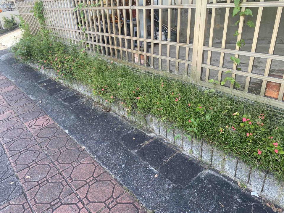 園藝維護案件圖片 園藝維護案件圖片