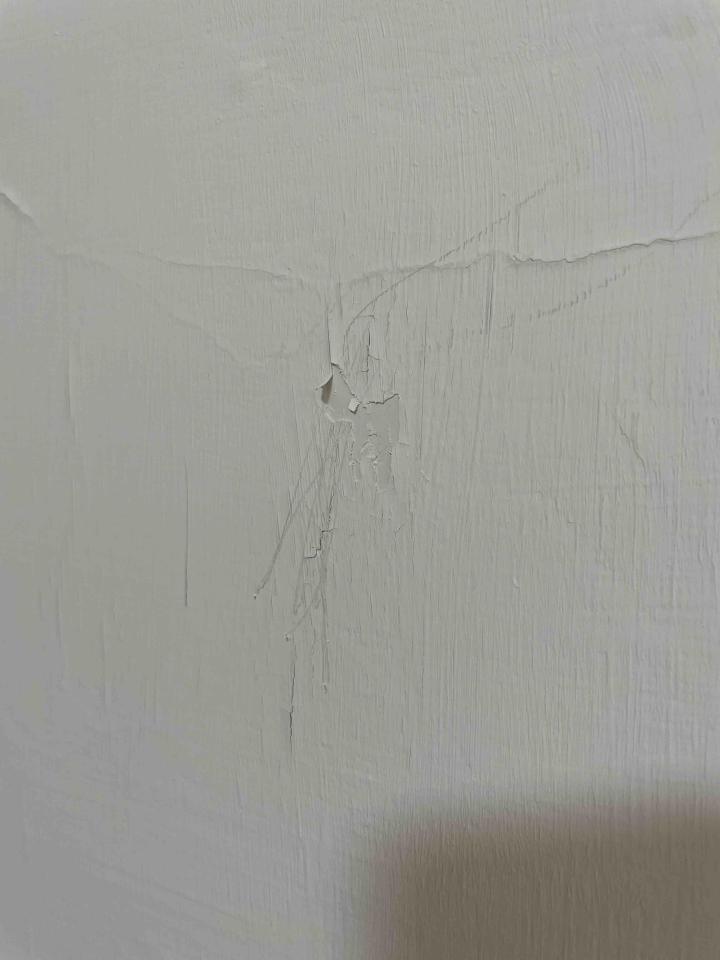油漆工程案件圖片