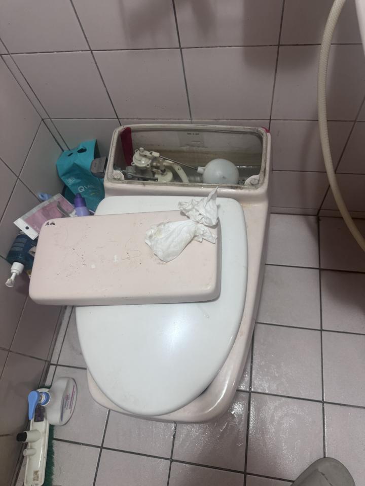 馬桶裝修案件圖片