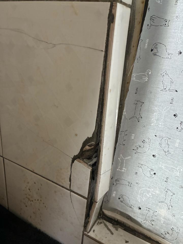 磁磚修補案件圖片