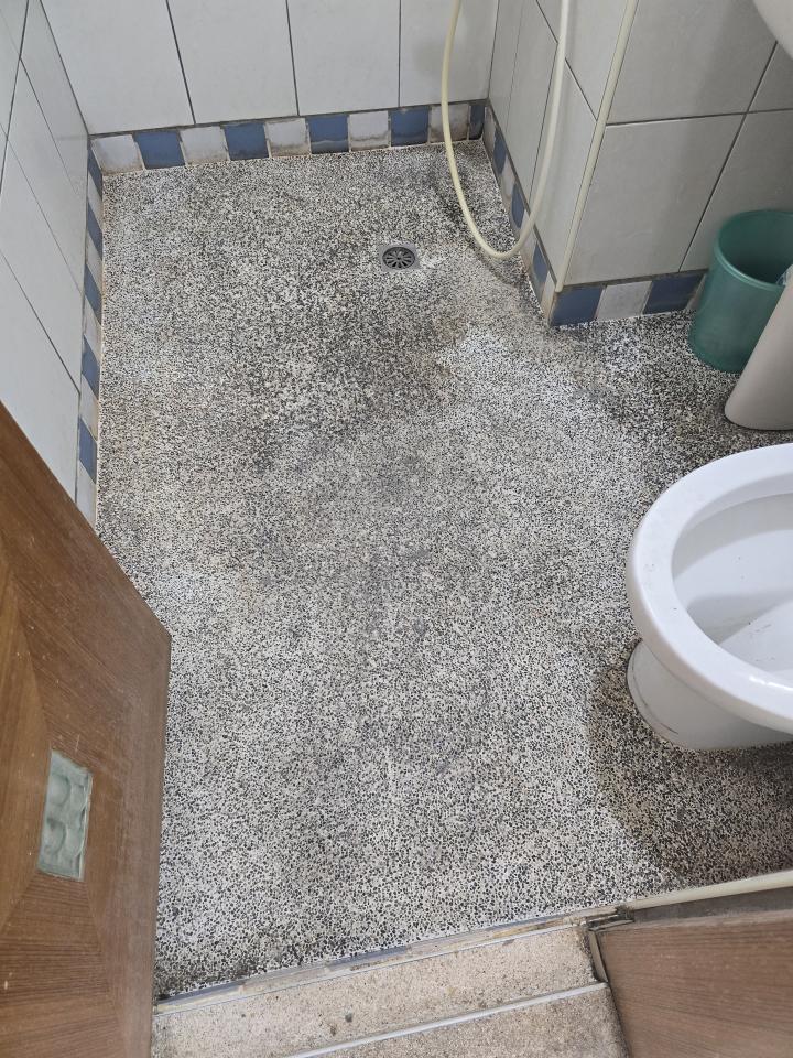浴室翻新案件圖片