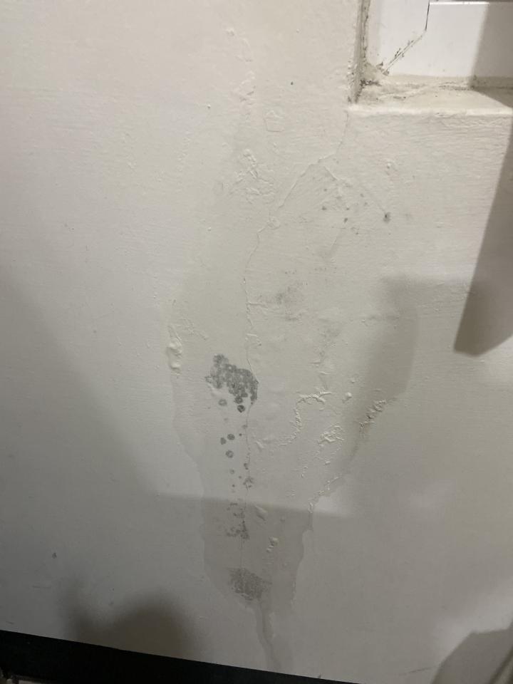 漏水處理案件圖片