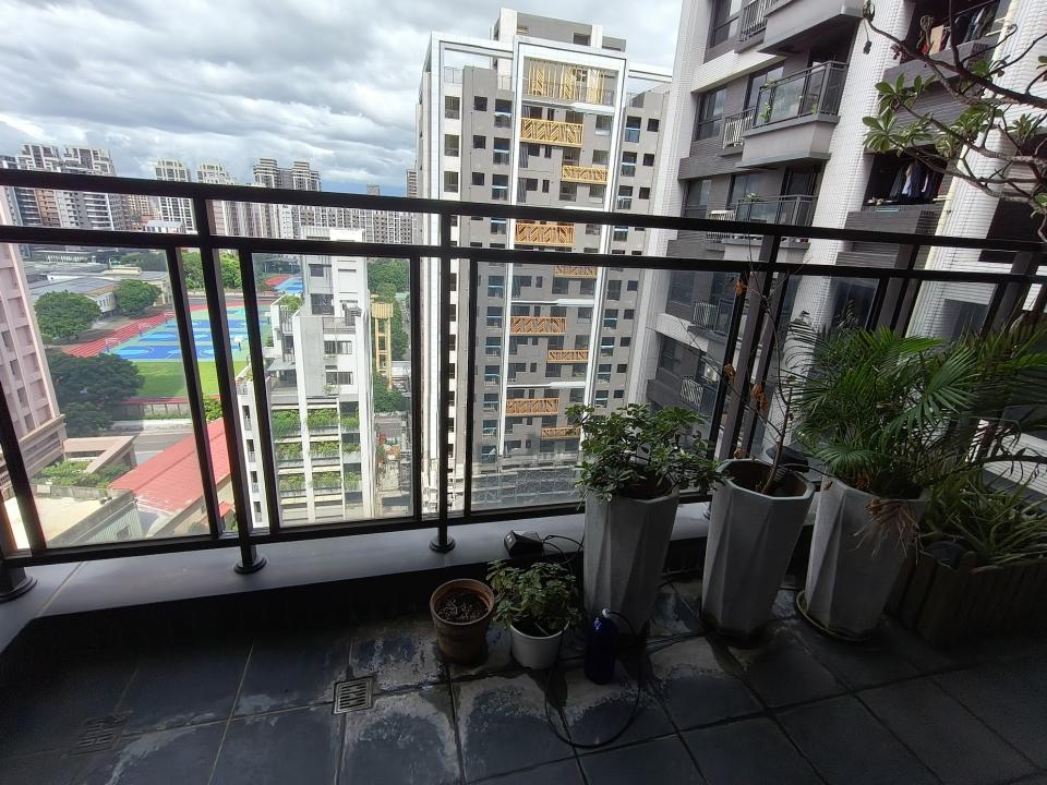 園藝維護案件圖片