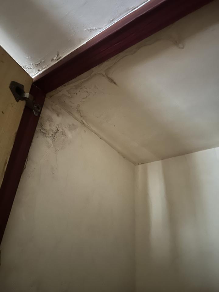 抓漏案件圖片
