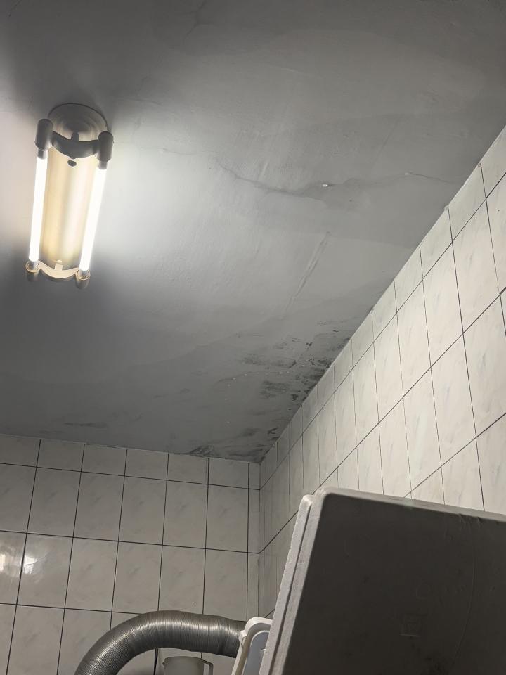抓漏案件圖片