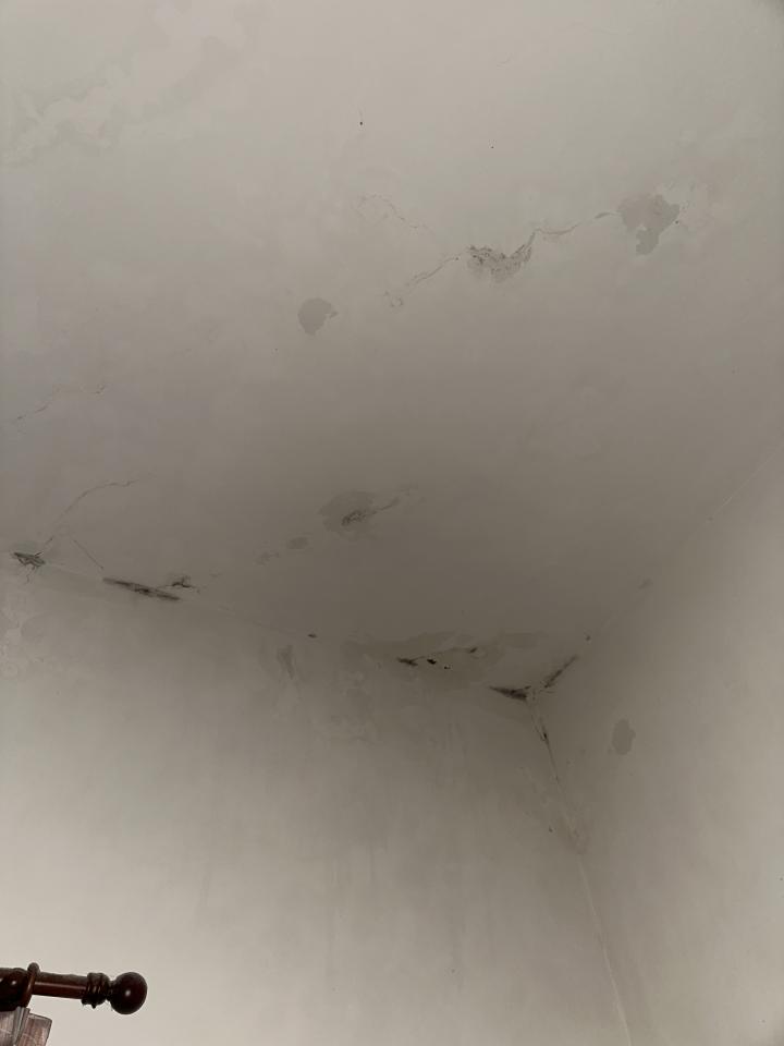 除霉案件圖片