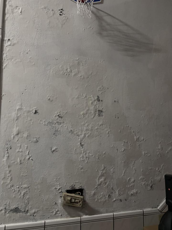 抓漏案件圖片