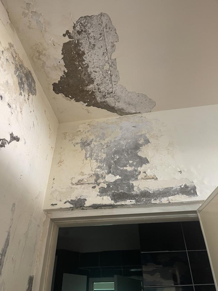 抓漏案件圖片