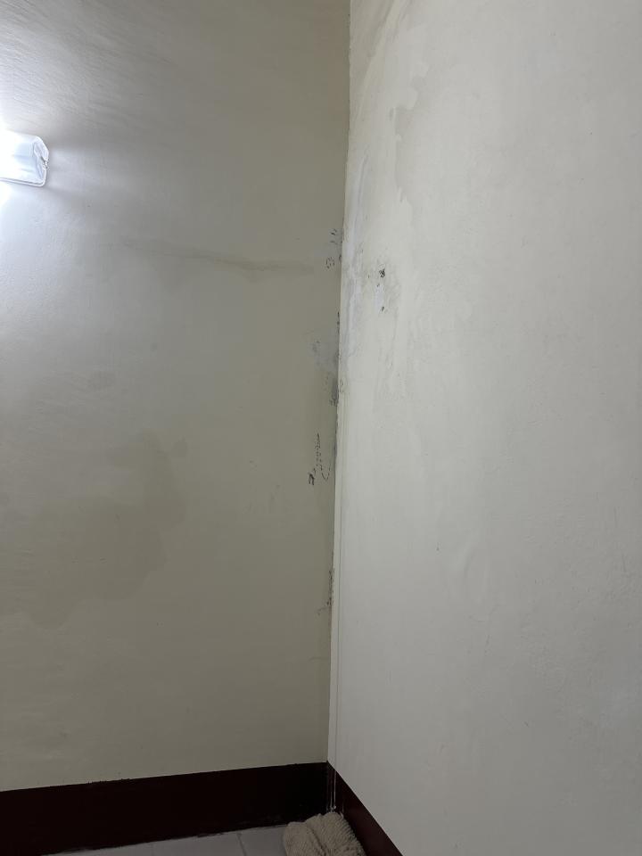抓漏案件圖片