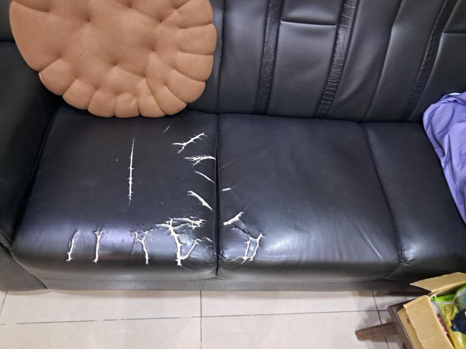 沙發修理案件圖片 沙發修理案件圖片