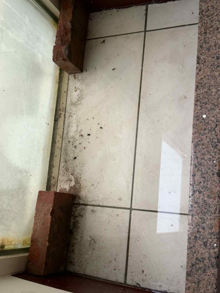 窗戶維修案件圖片