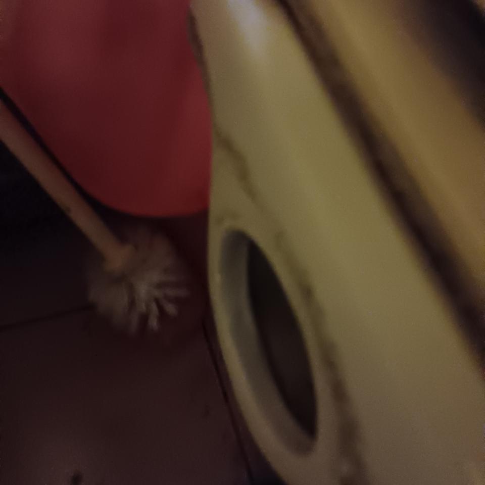 馬桶裝修案件圖片