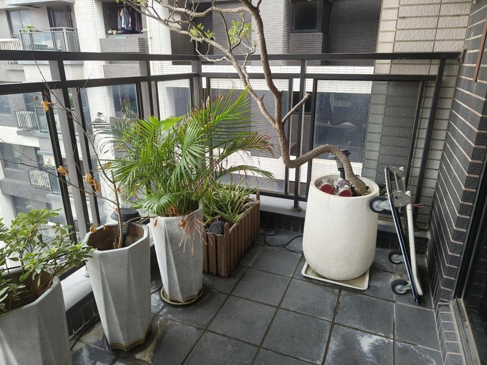 園藝維護案件圖片