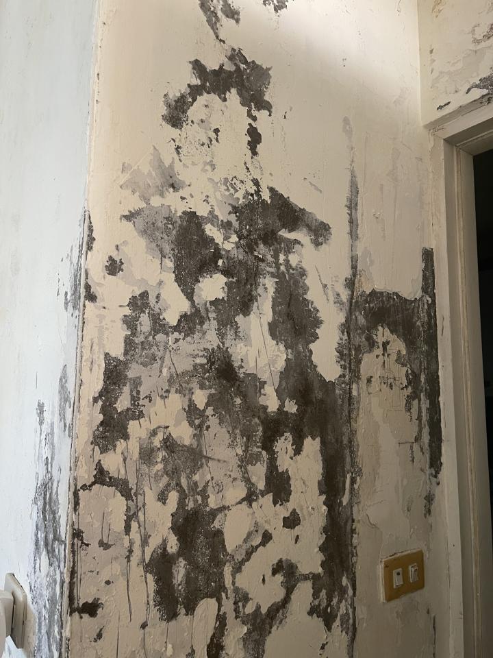 抓漏案件圖片