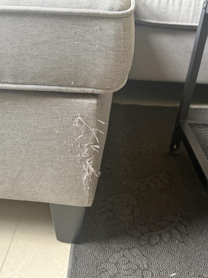 沙發修理案件圖片