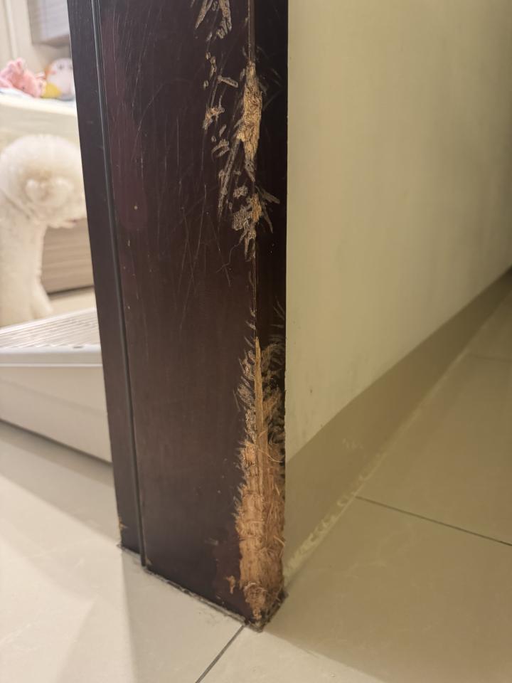油漆工程案件圖片