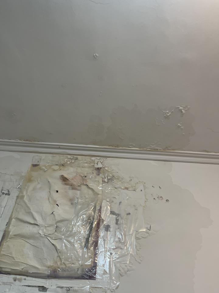 抓漏案件圖片 抓漏案件圖片