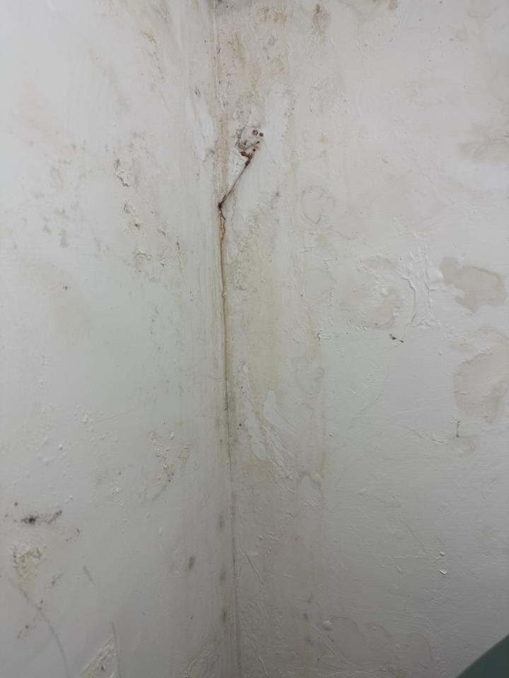 抓漏案件圖片 抓漏案件圖片