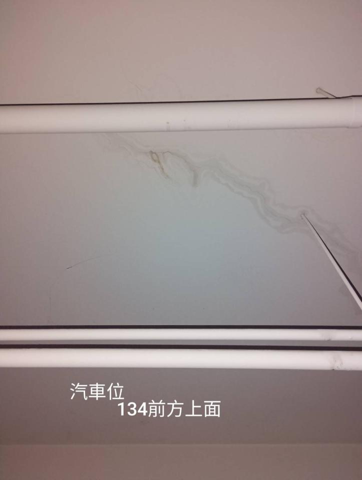 抓漏案件圖片