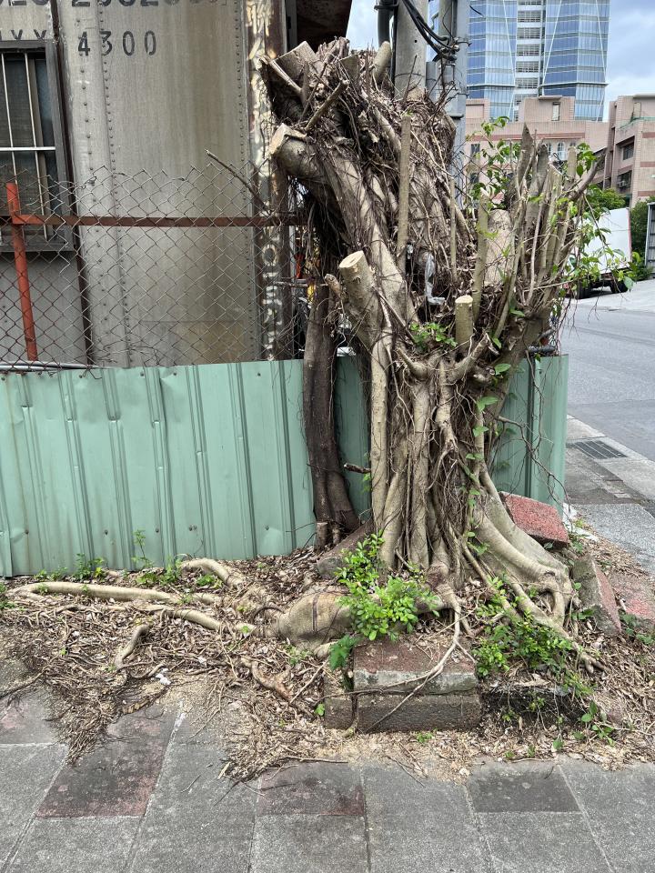 泥作/水泥施工案件圖片