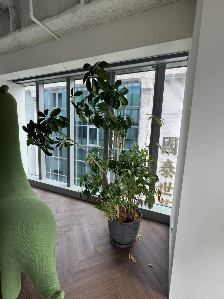 植物診療師案件圖片