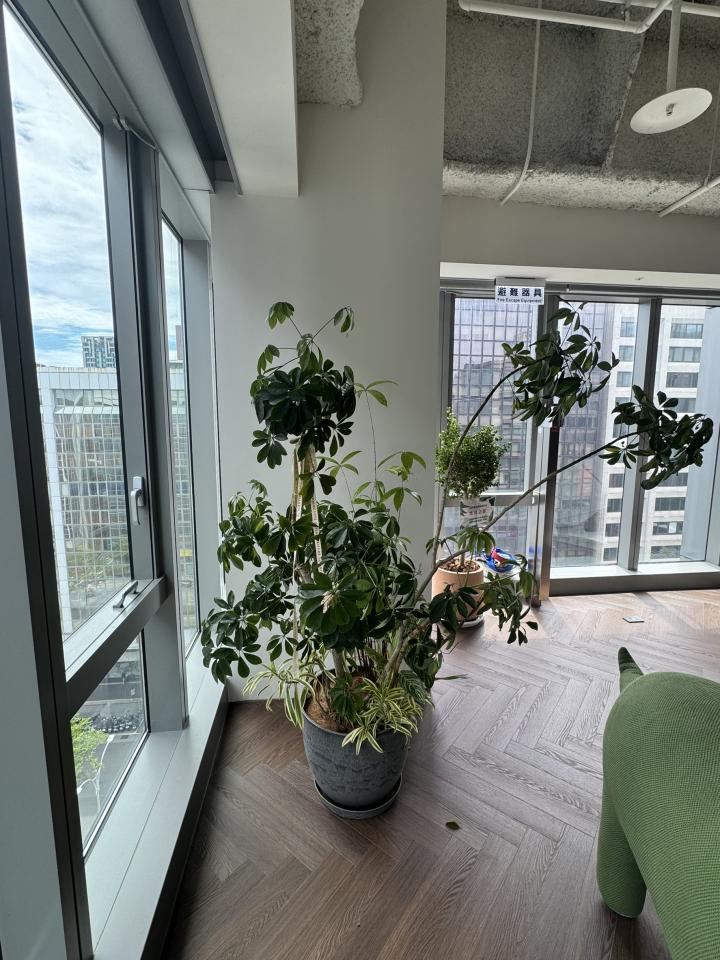 植物診療師案件圖片