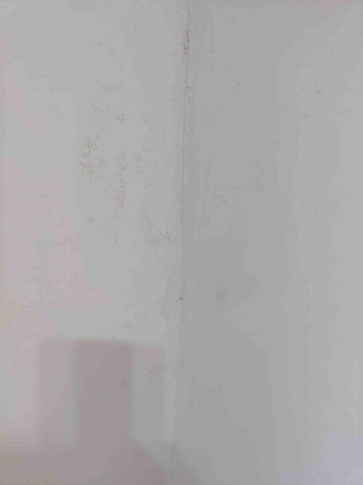 抓漏案件圖片