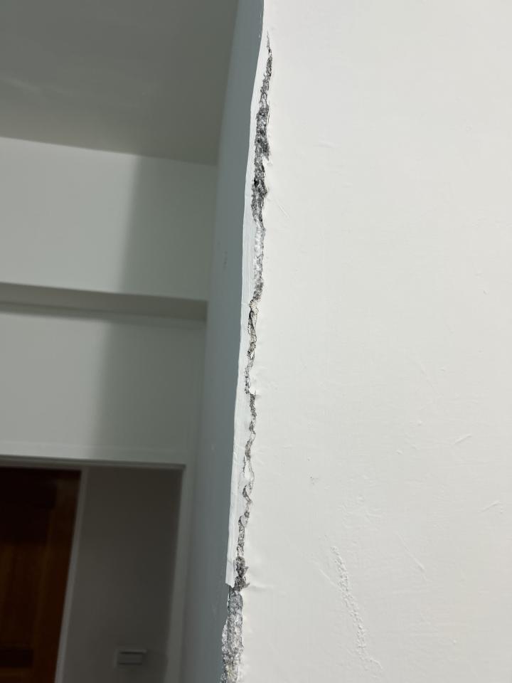 抓漏案件圖片