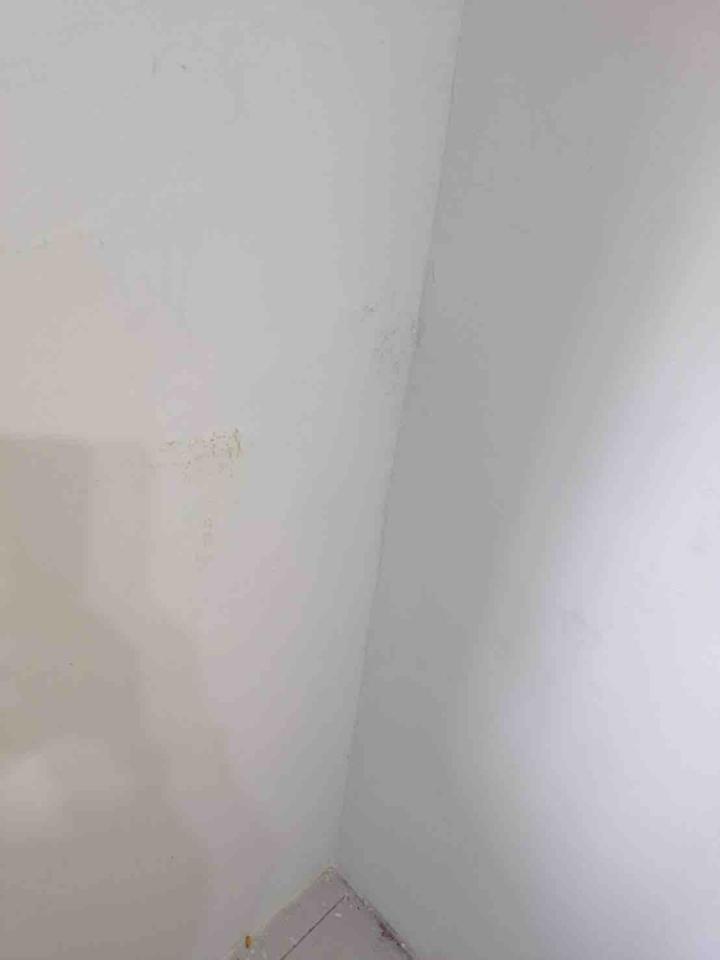 抓漏案件圖片