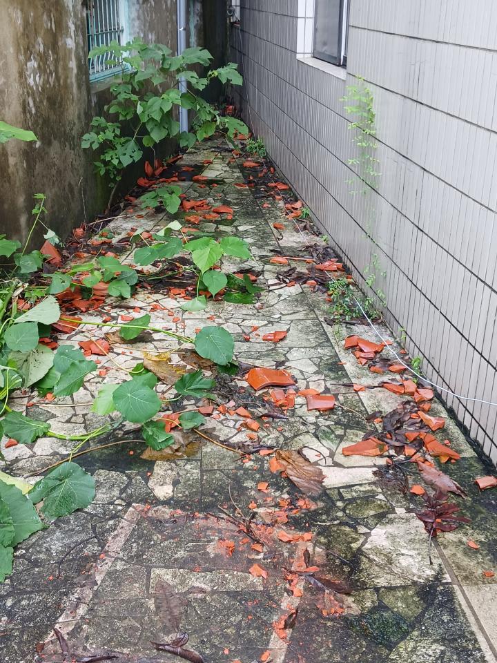 屋瓦翻修案件圖片