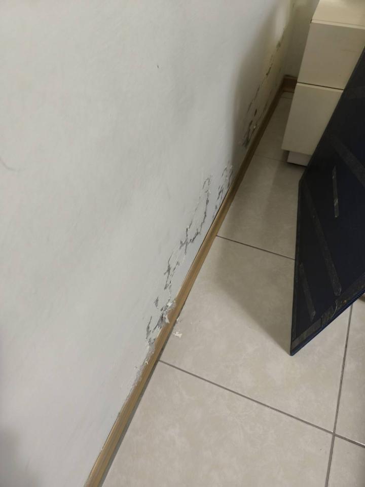 抓漏案件圖片