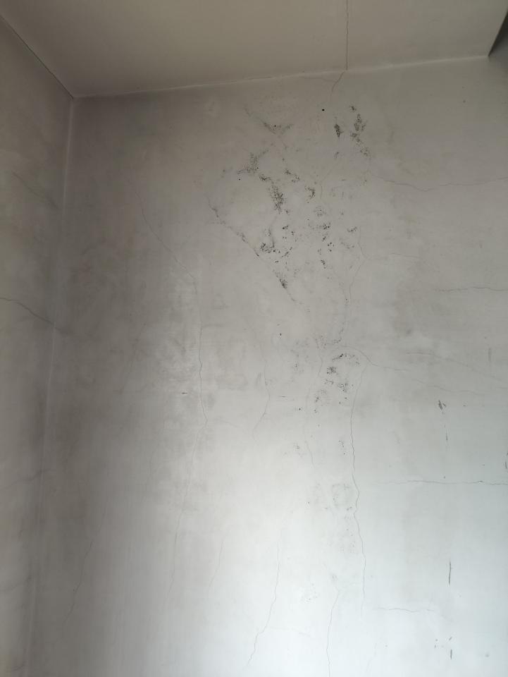 抓漏案件圖片