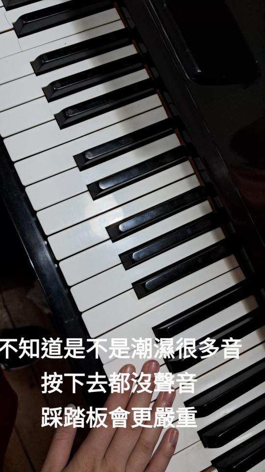鋼琴調音案件圖片 鋼琴調音案件圖片