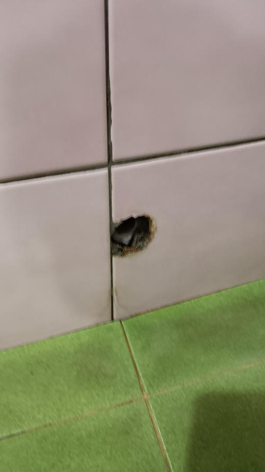 水管維修案件圖片