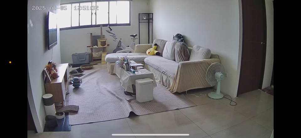 求婚佈置案件圖片 求婚佈置案件圖片