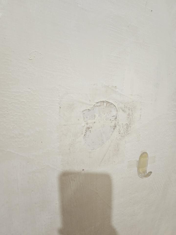 抓漏案件圖片