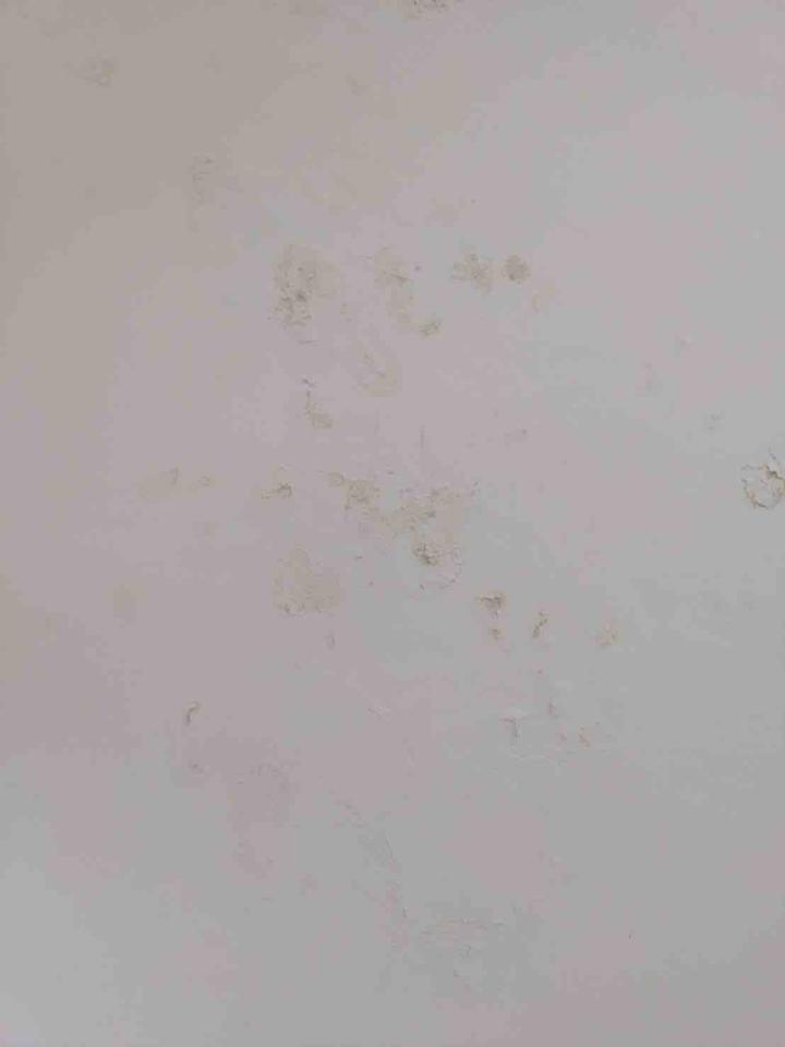 抓漏案件圖片