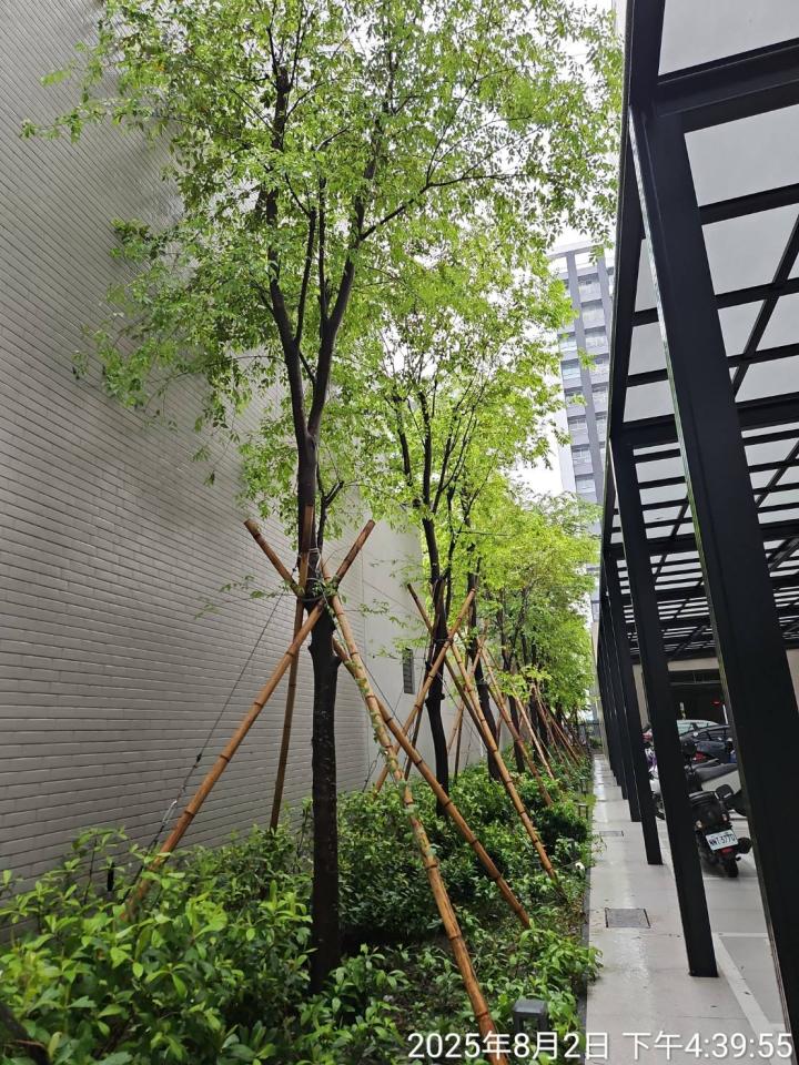 園藝維護案件圖片 園藝維護案件圖片