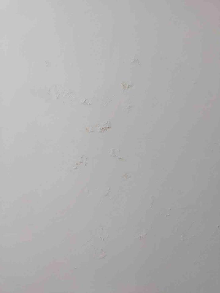 抓漏案件圖片