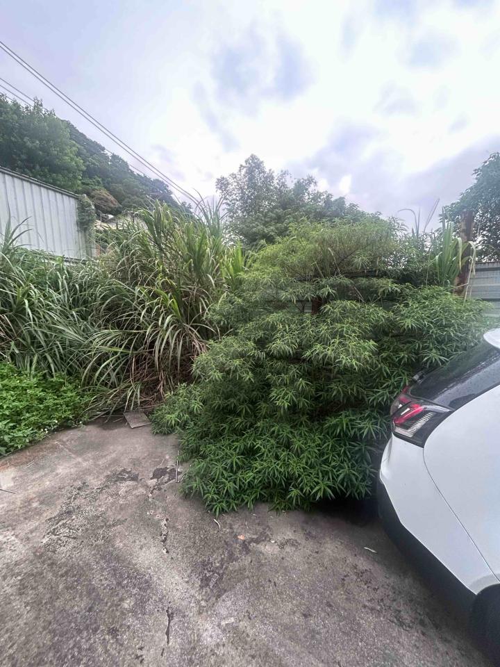 園藝維護案件圖片