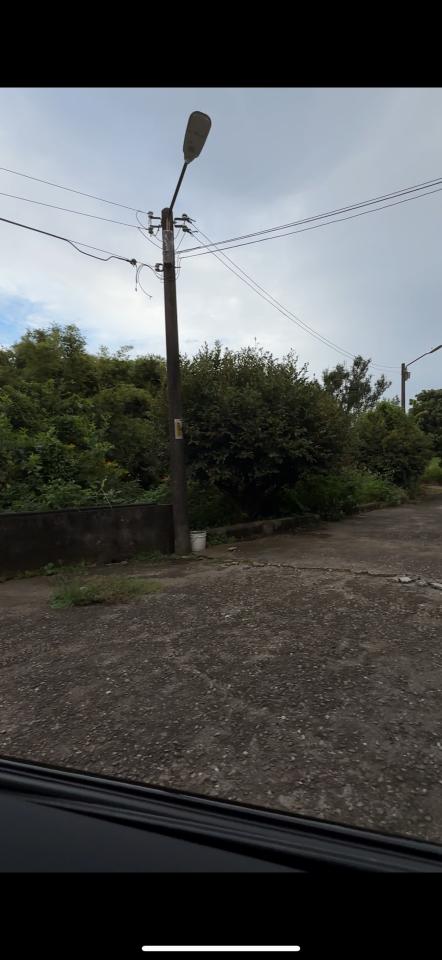 園藝維護案件圖片 園藝維護案件圖片