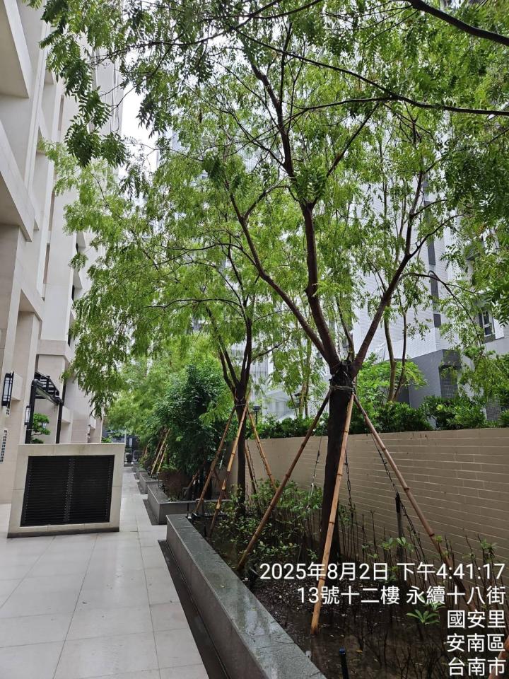 園藝維護案件圖片 園藝維護案件圖片