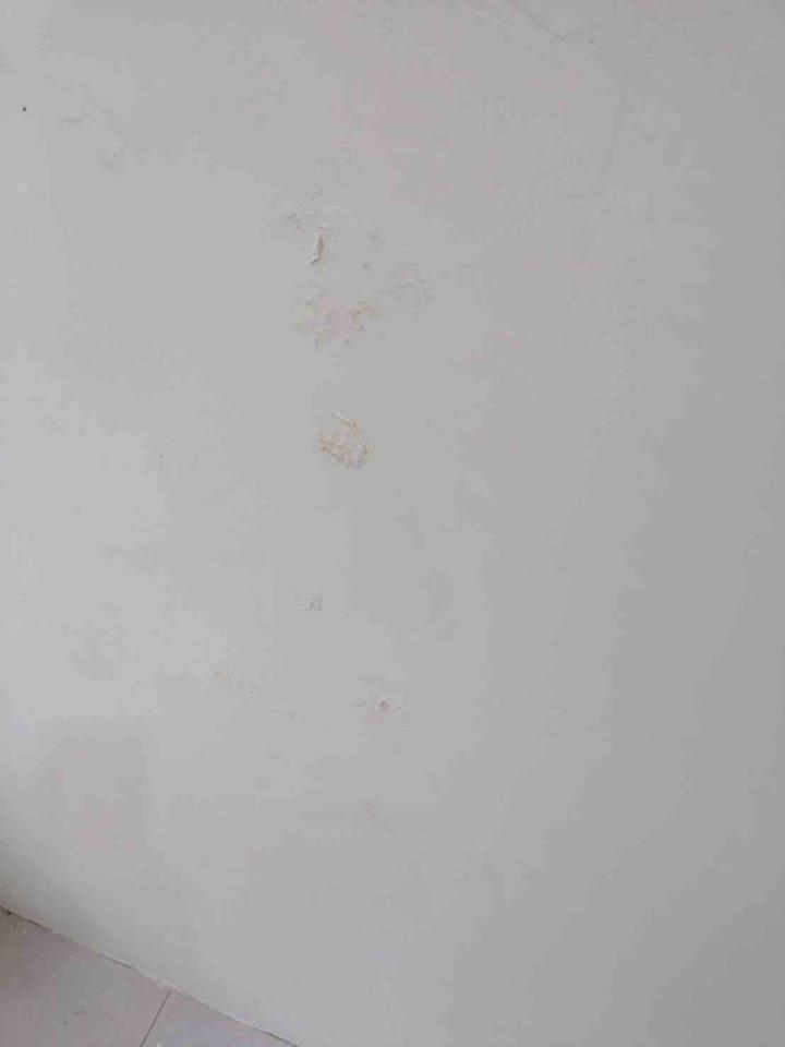 抓漏案件圖片